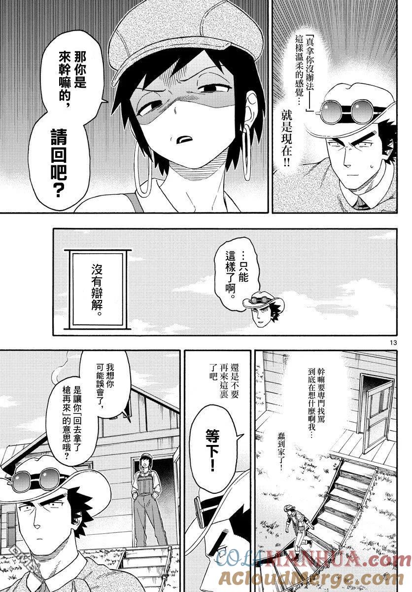 第13页