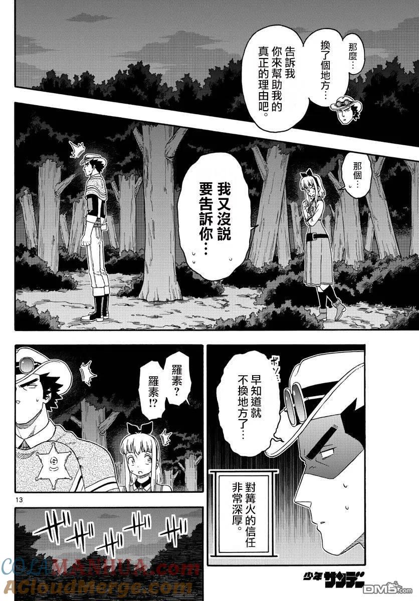 第13页