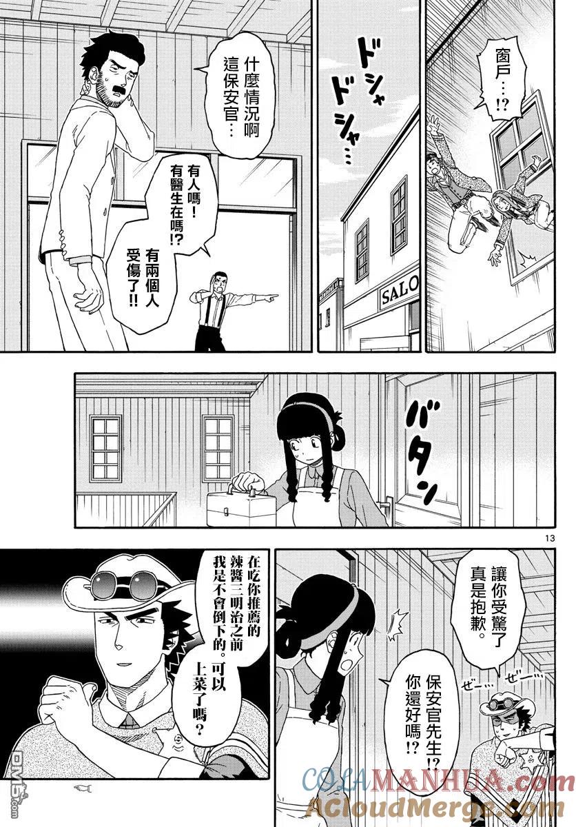 第13页