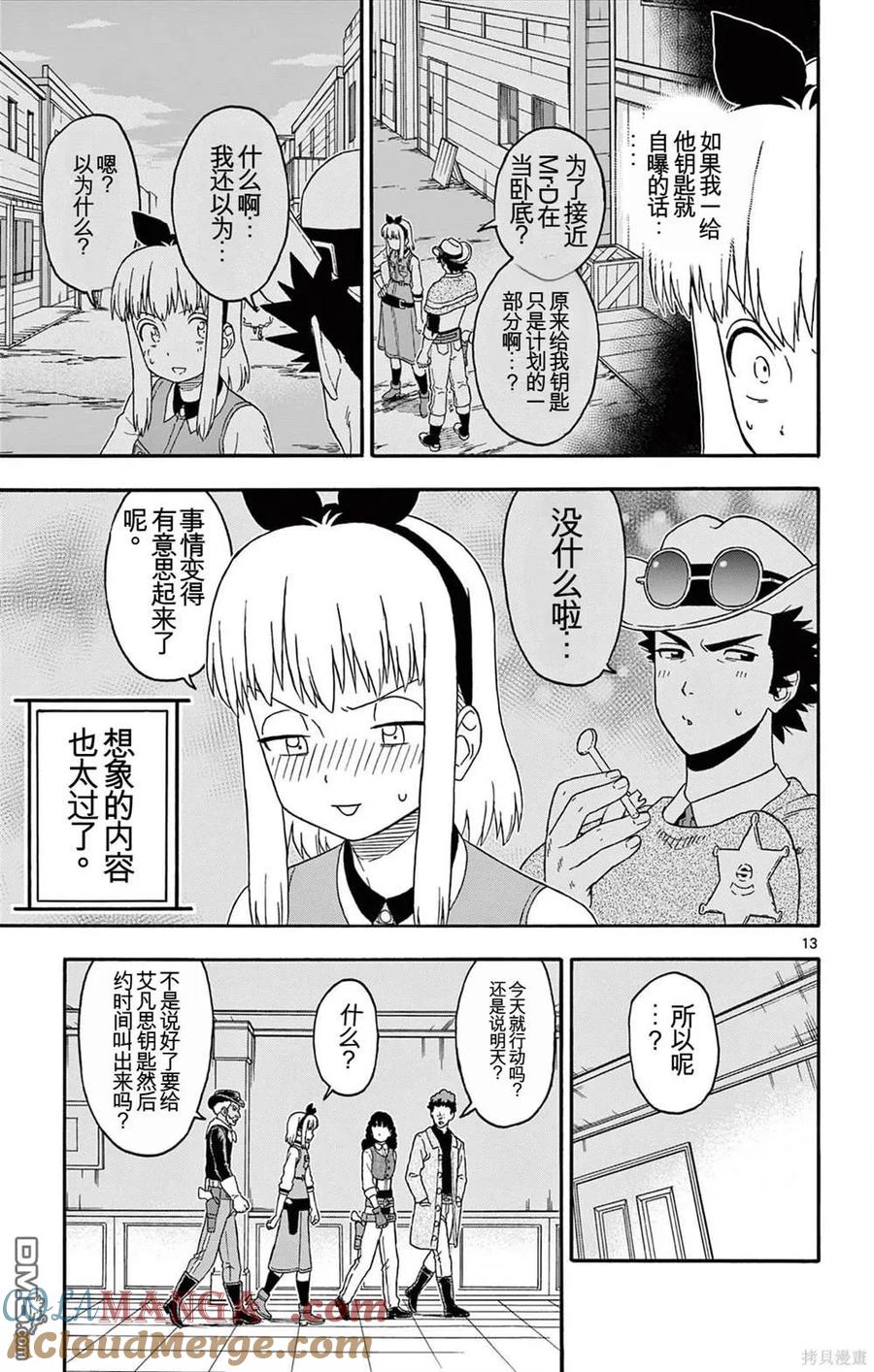 第13页