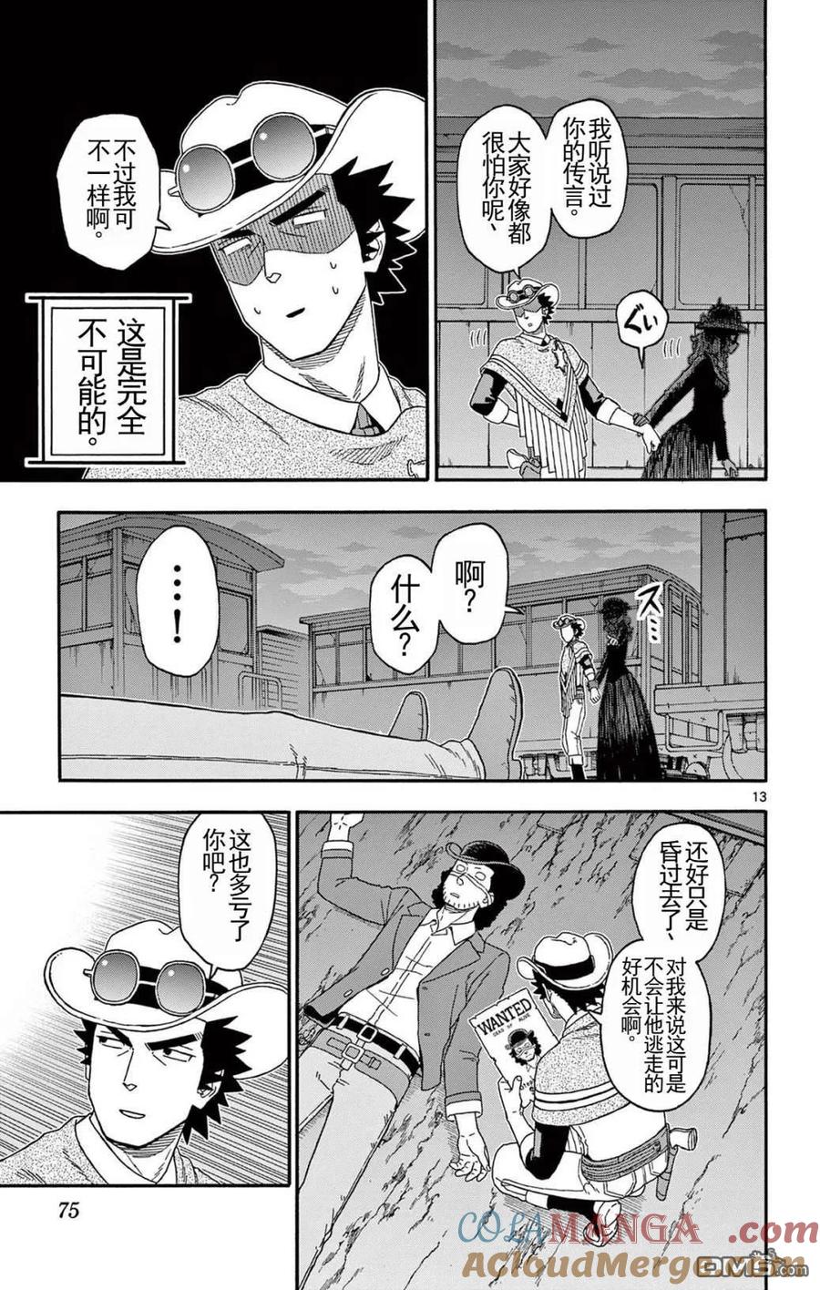 第13页