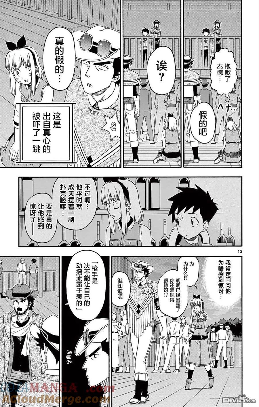 第13页