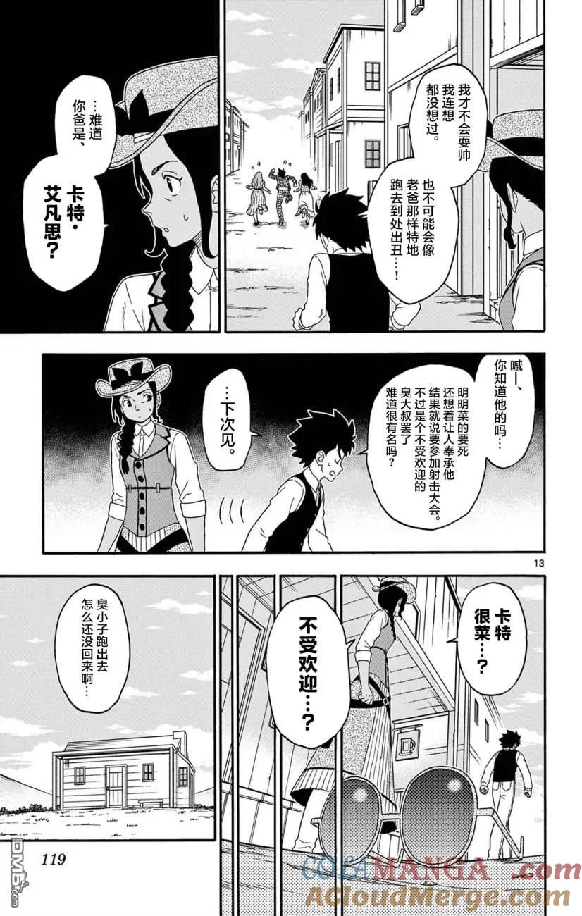 第13页