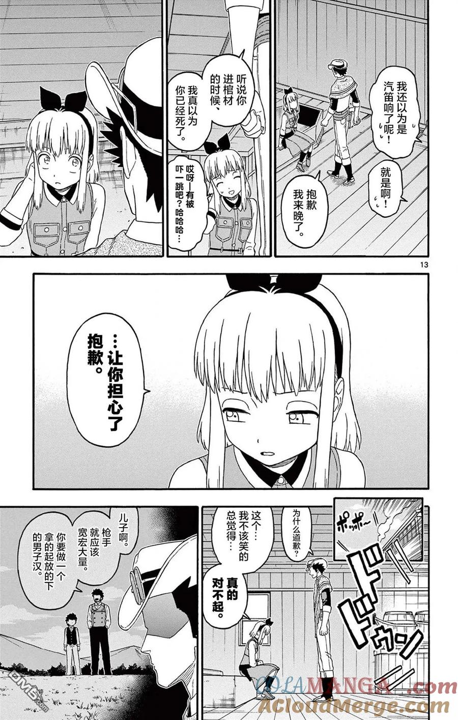 第13页