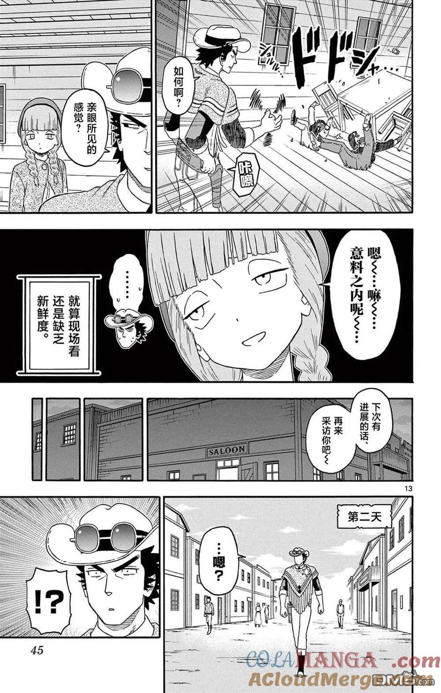 第13页