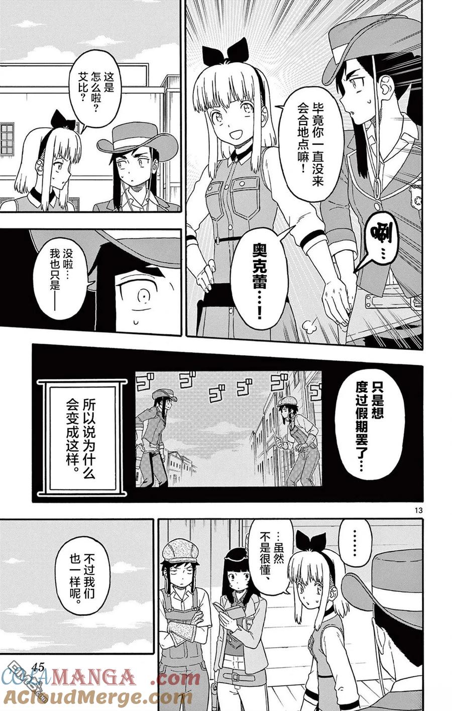 第13页