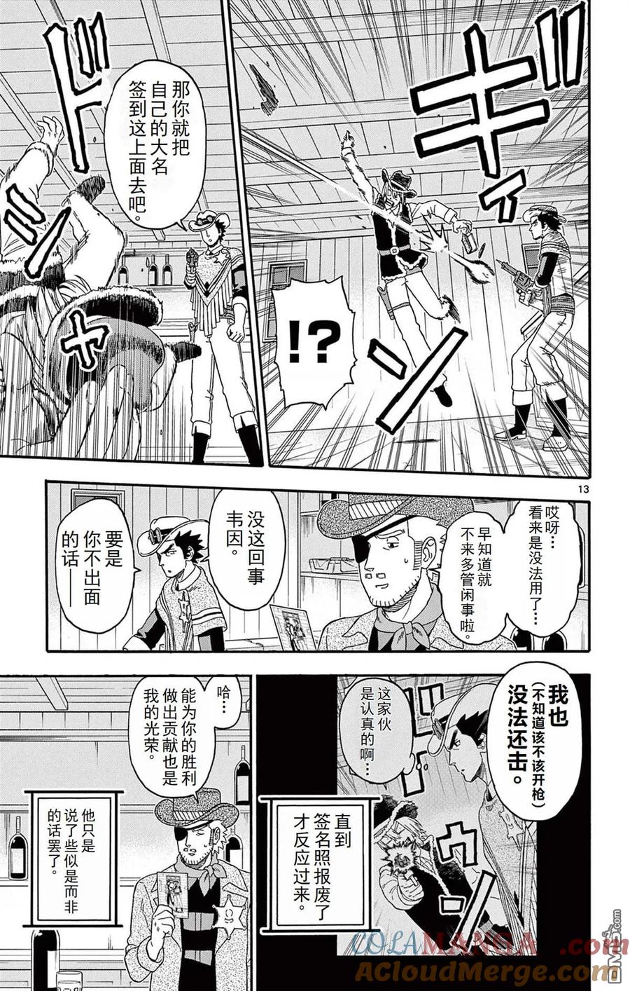 第13页
