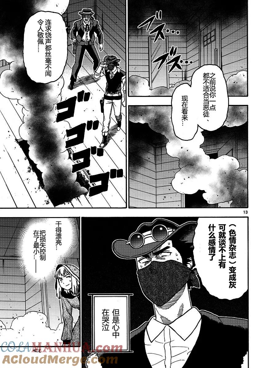 第13页