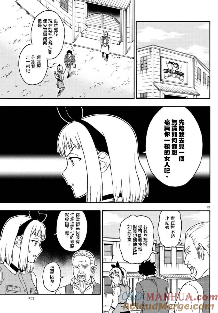 第13页
