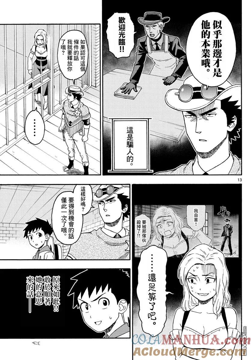 第13页