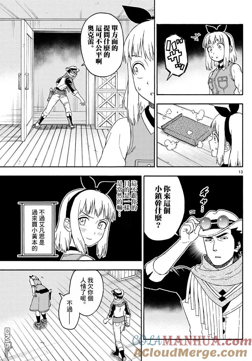 第13页