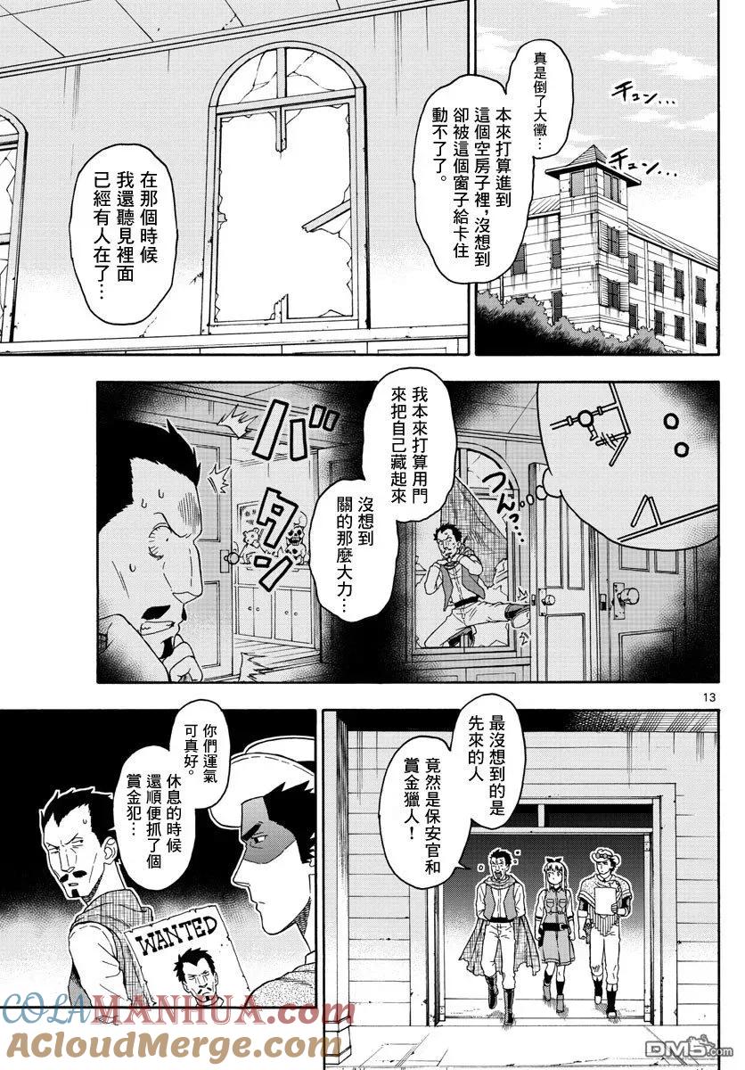 第13页