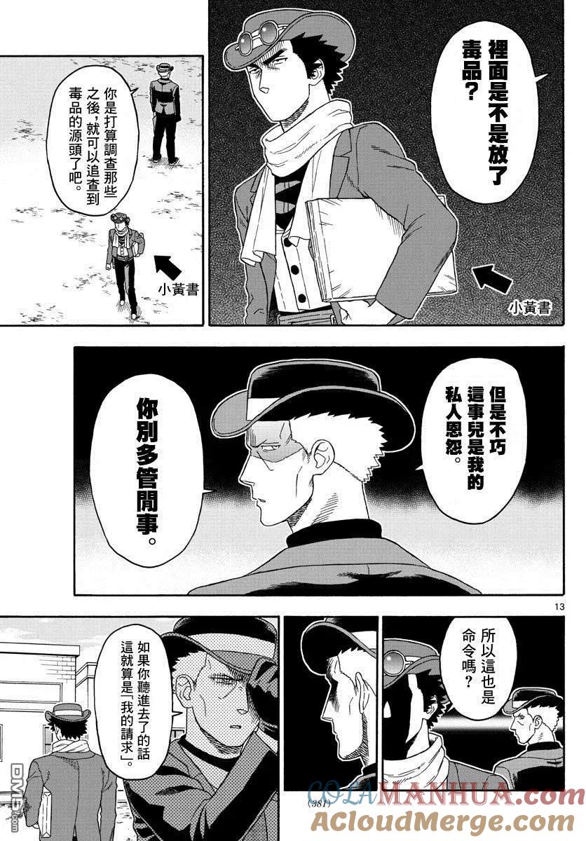 第13页