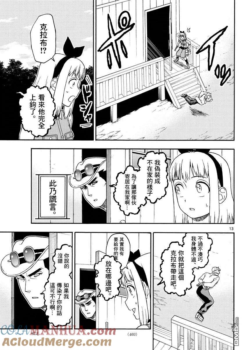 第13页