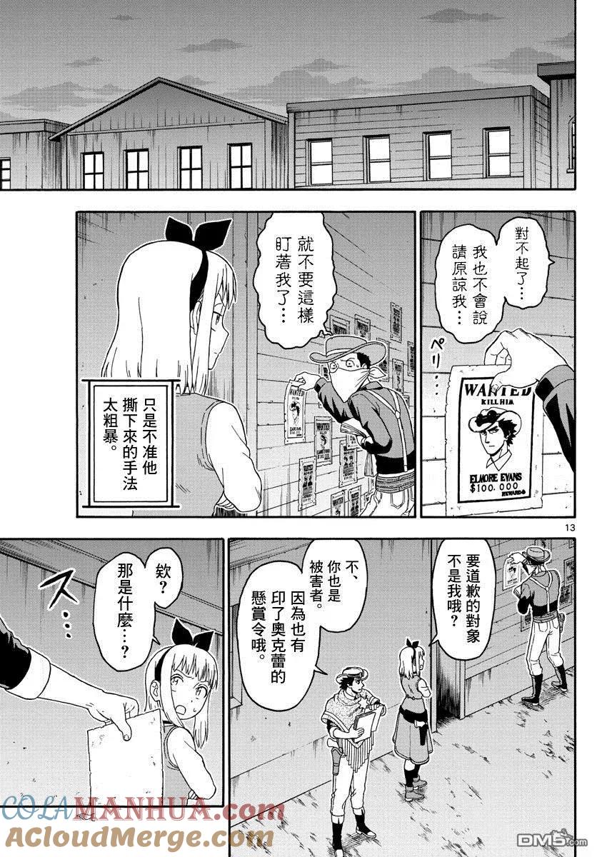 第13页