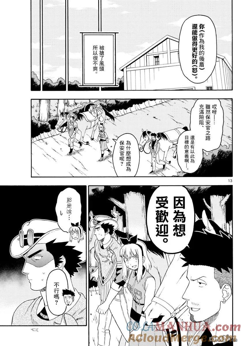 第13页