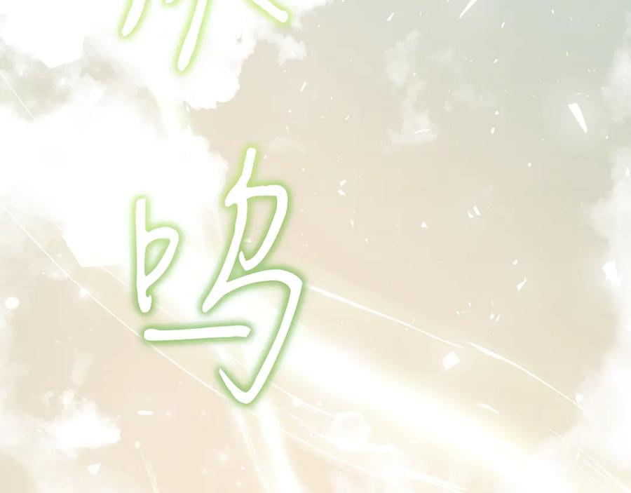 第214页