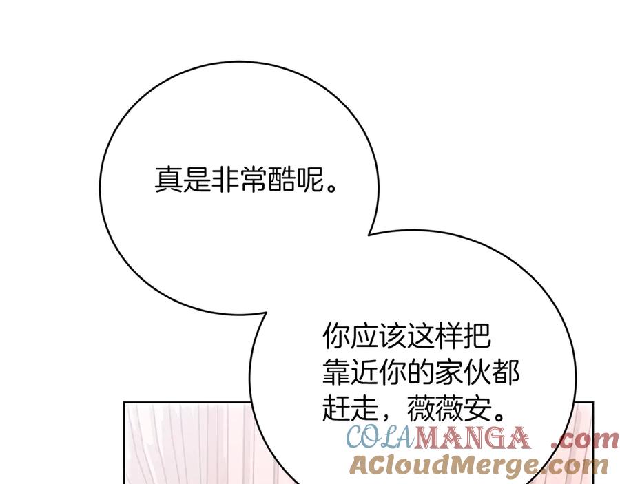 第241页