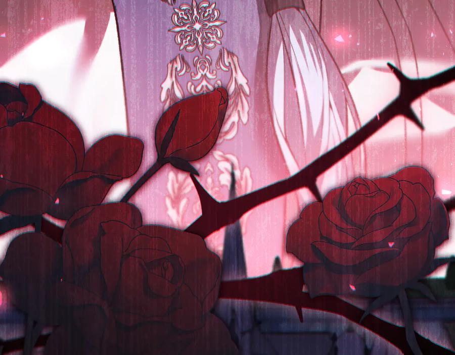 第231页
