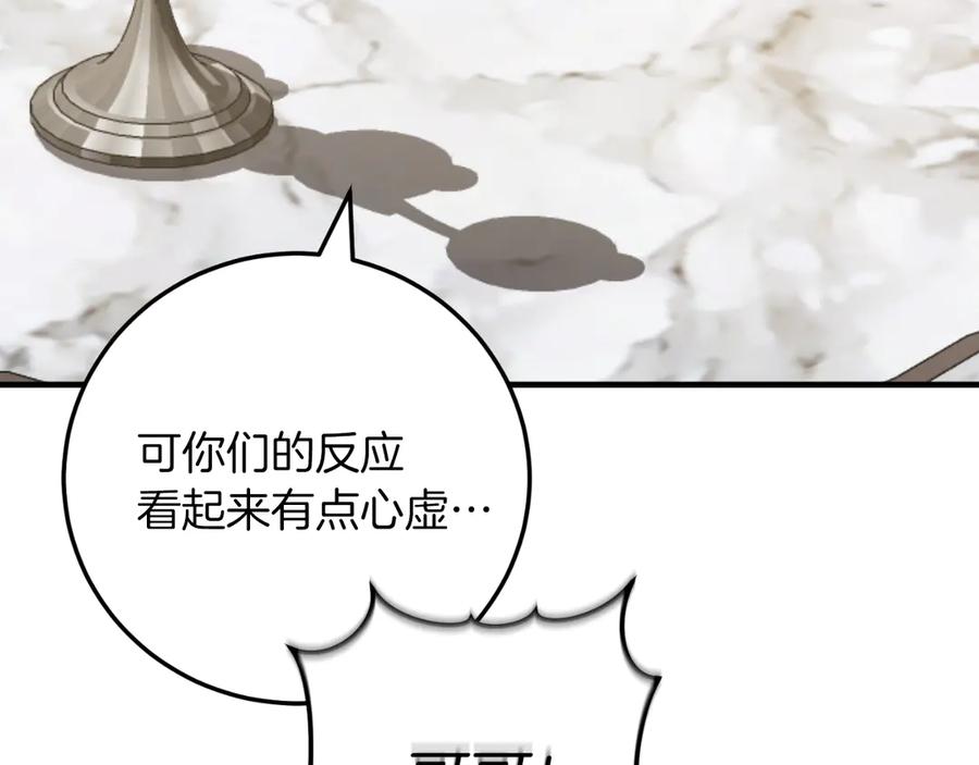 第223页