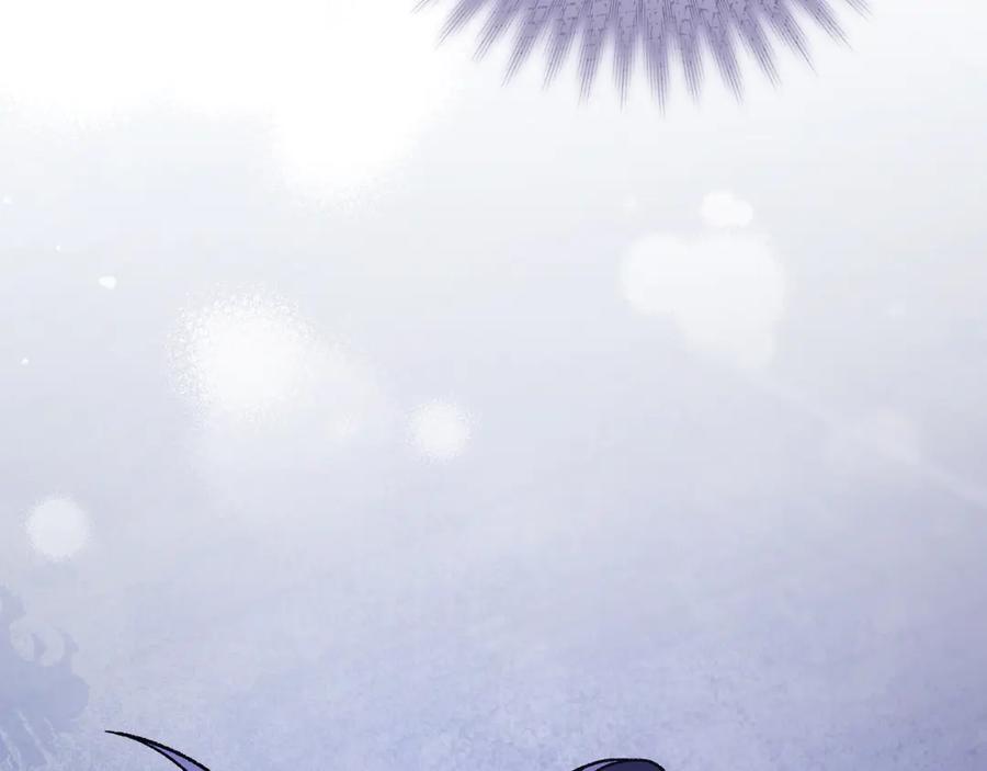 第240页