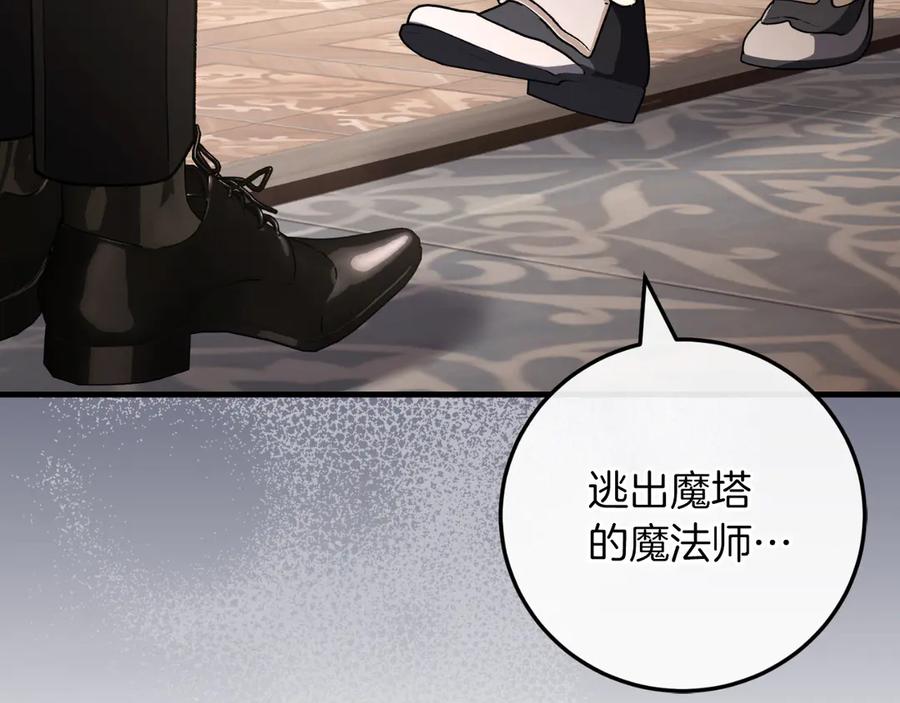 第223页