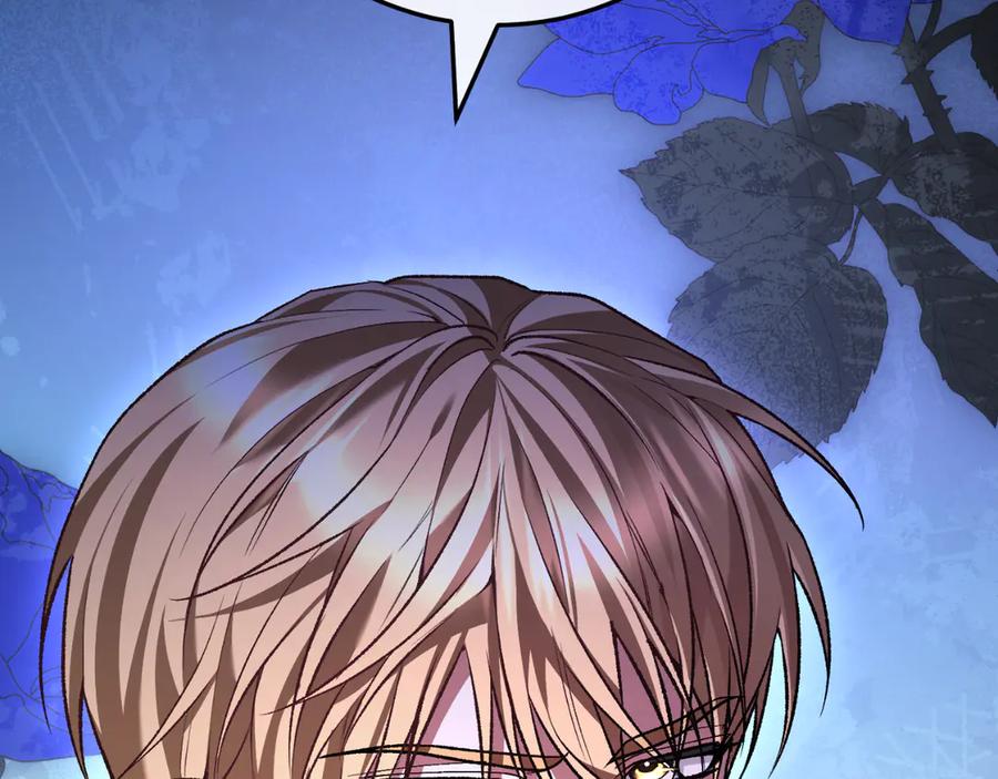 第246页