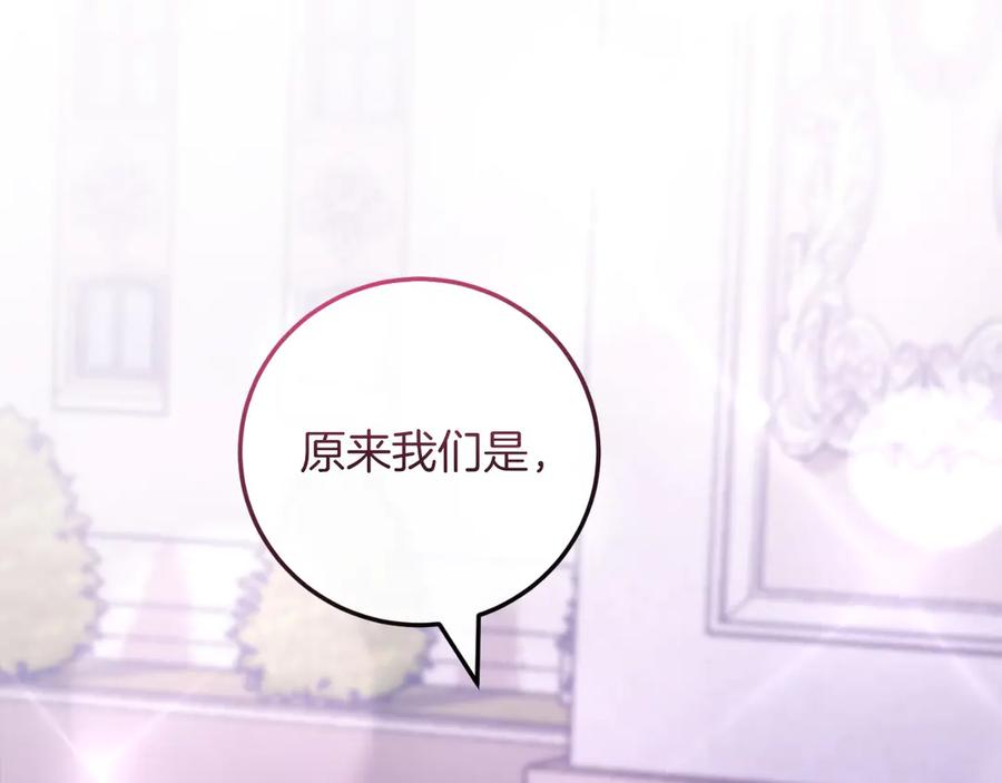第238页