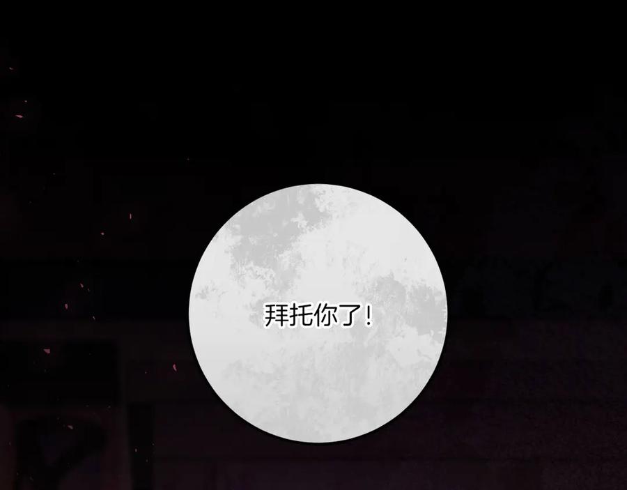 第242页