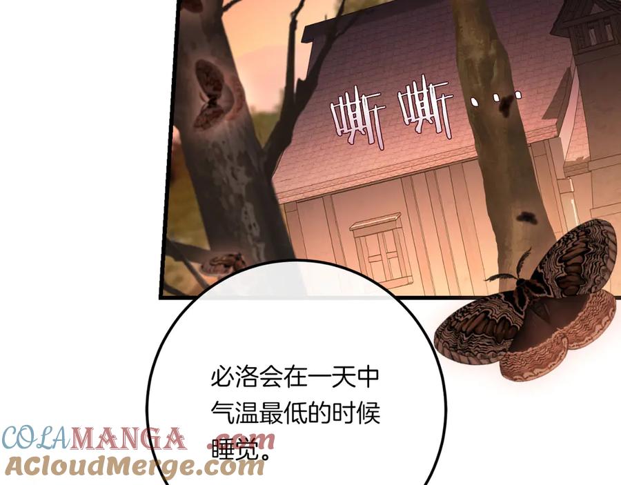 第249页