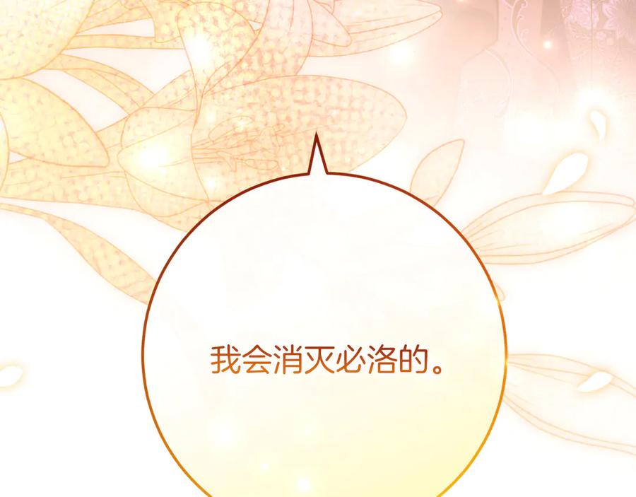 第255页
