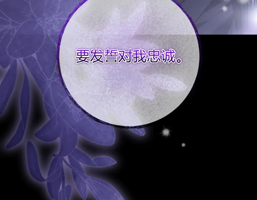 第244页