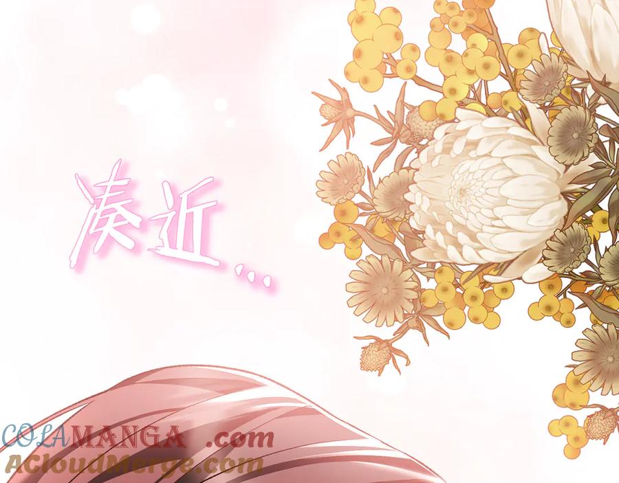 第205页