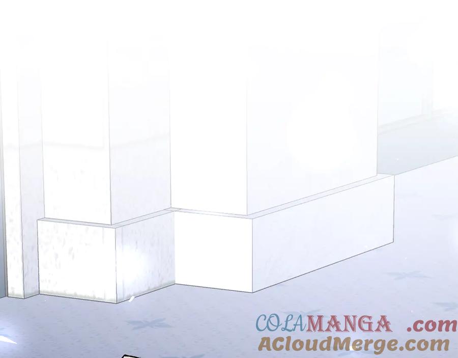 第233页