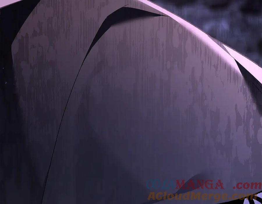 第241页