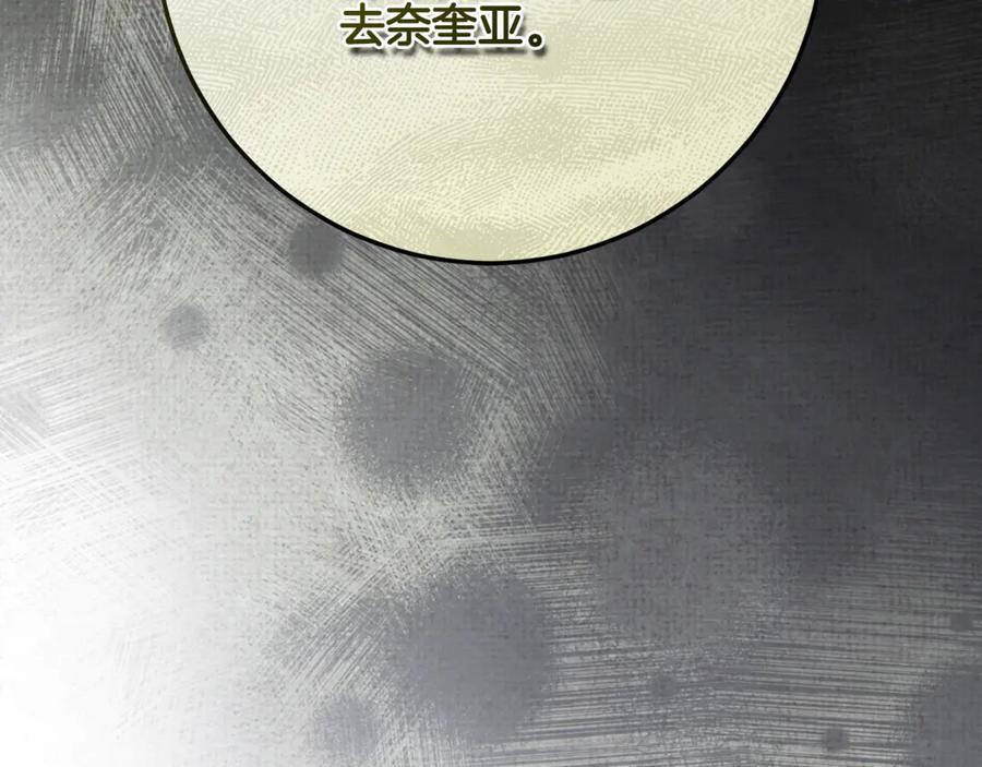 第223页