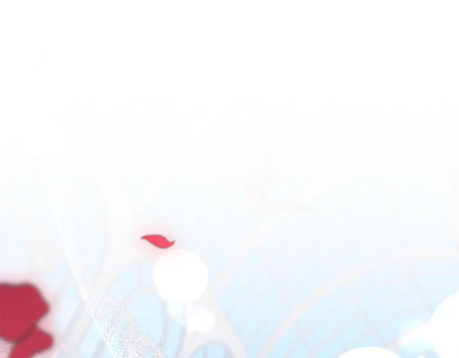 第223页