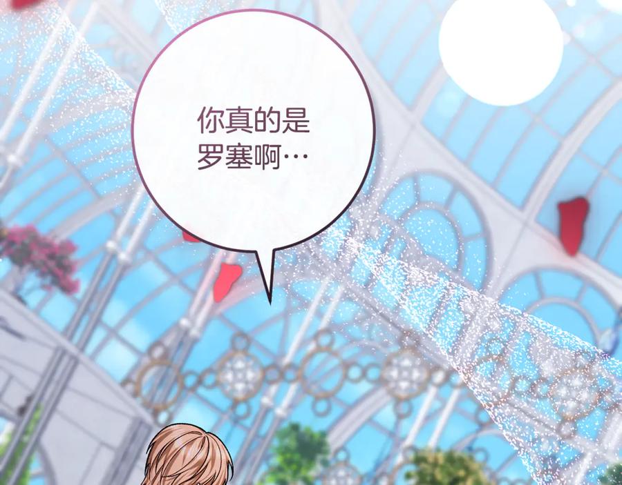 第224页