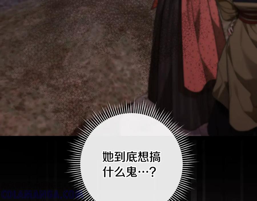 第237页