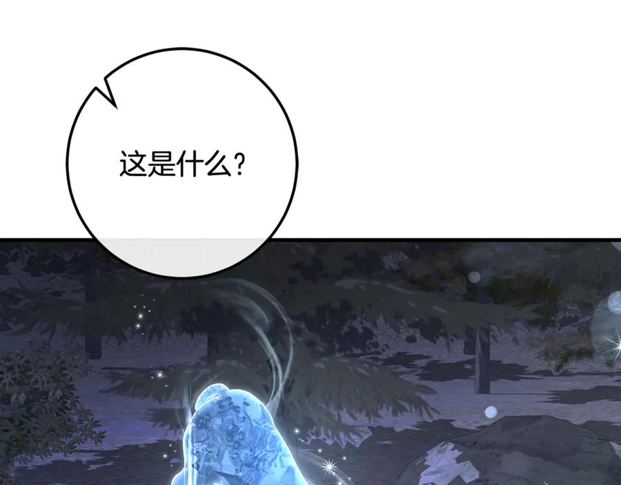 第256页