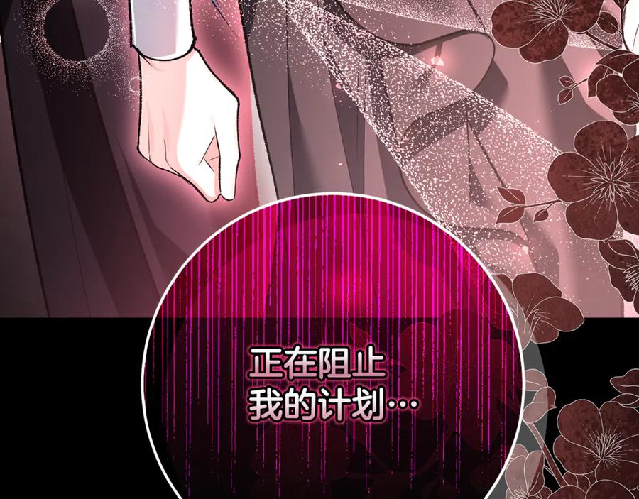 第251页