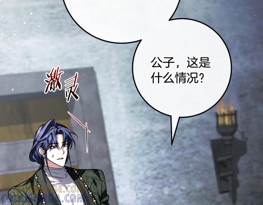 第205页