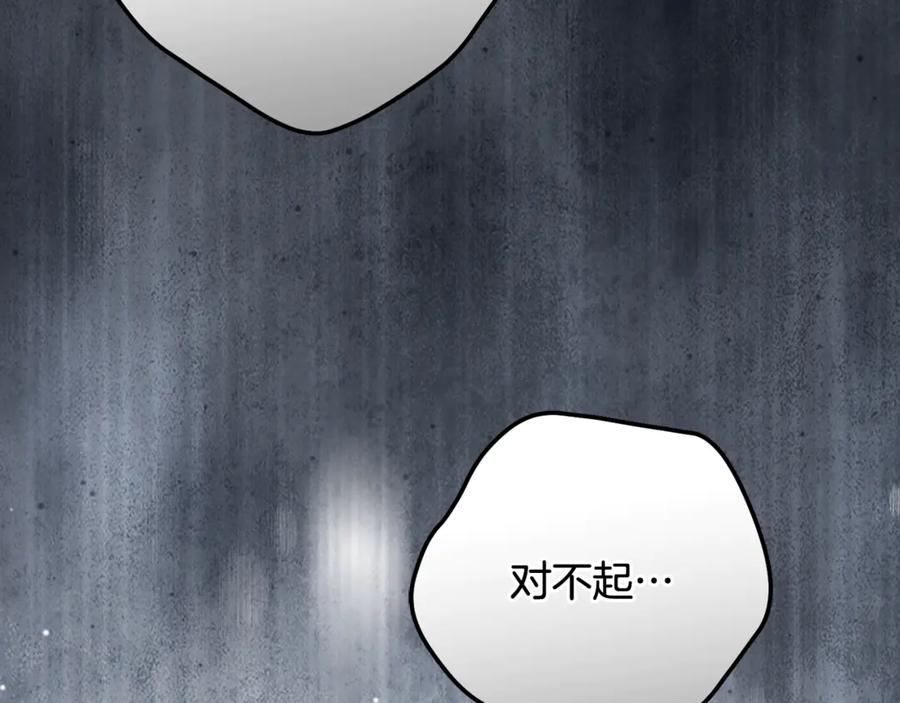 第243页