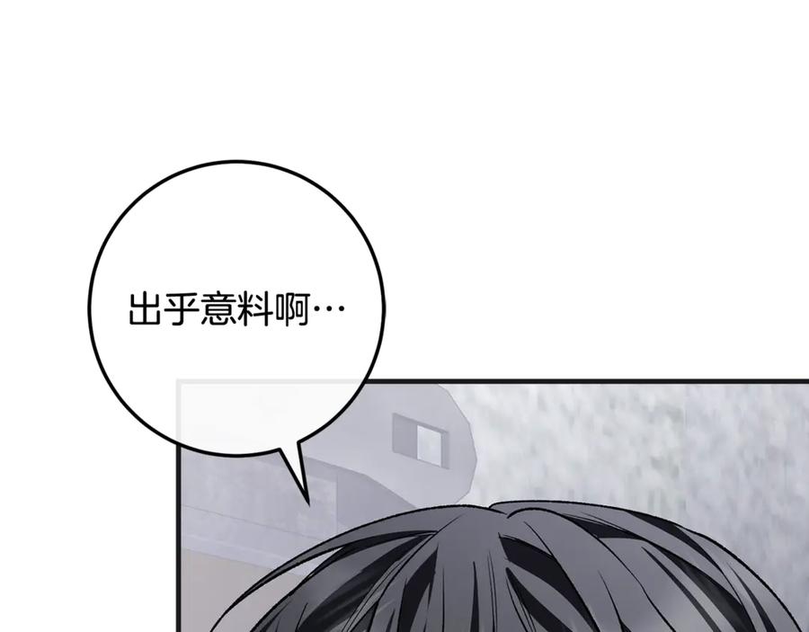 第251页