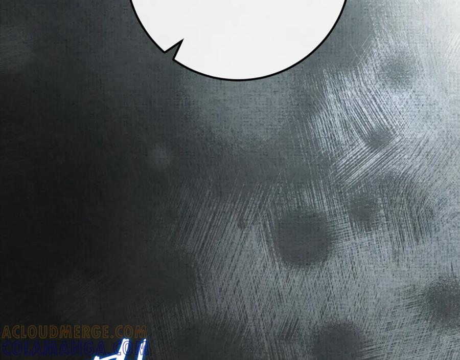 第241页