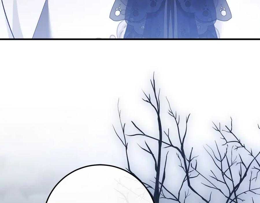 第223页