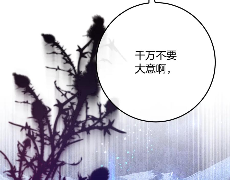 第243页