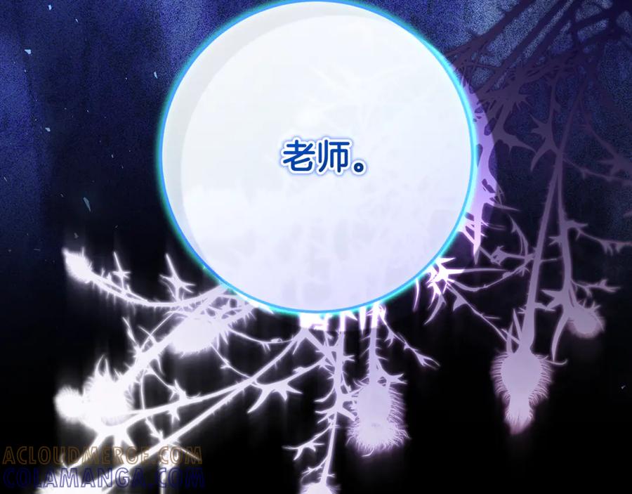 第249页