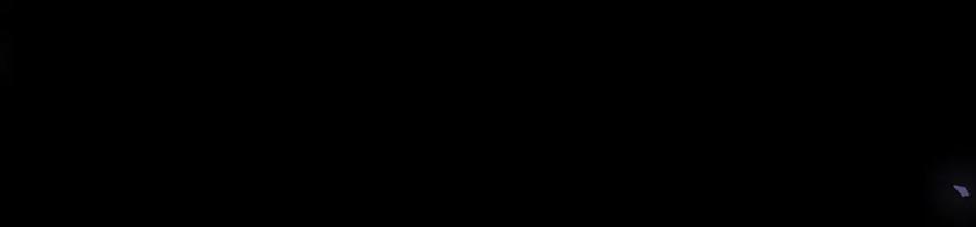 第251页