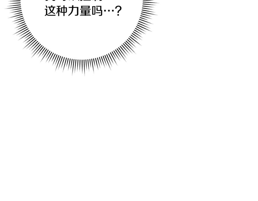 第224页